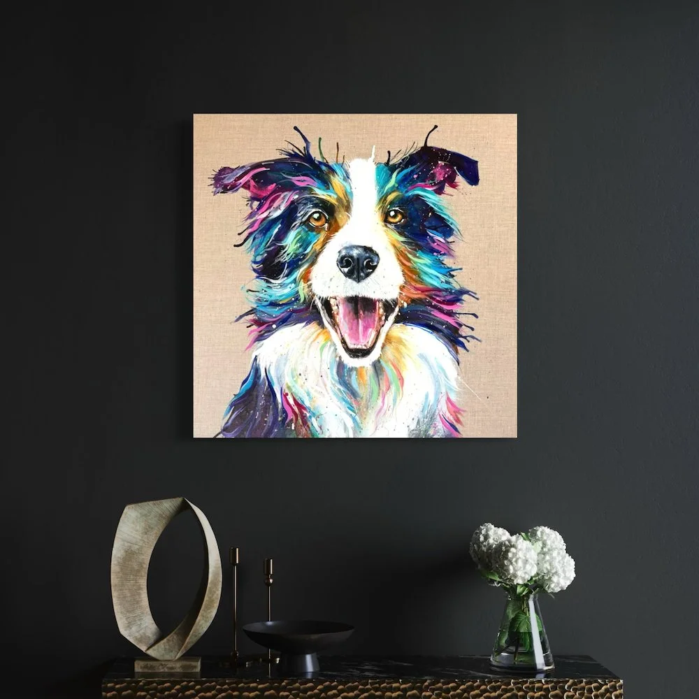 max the collie by Louise Luton in a dark room setting.jpeg