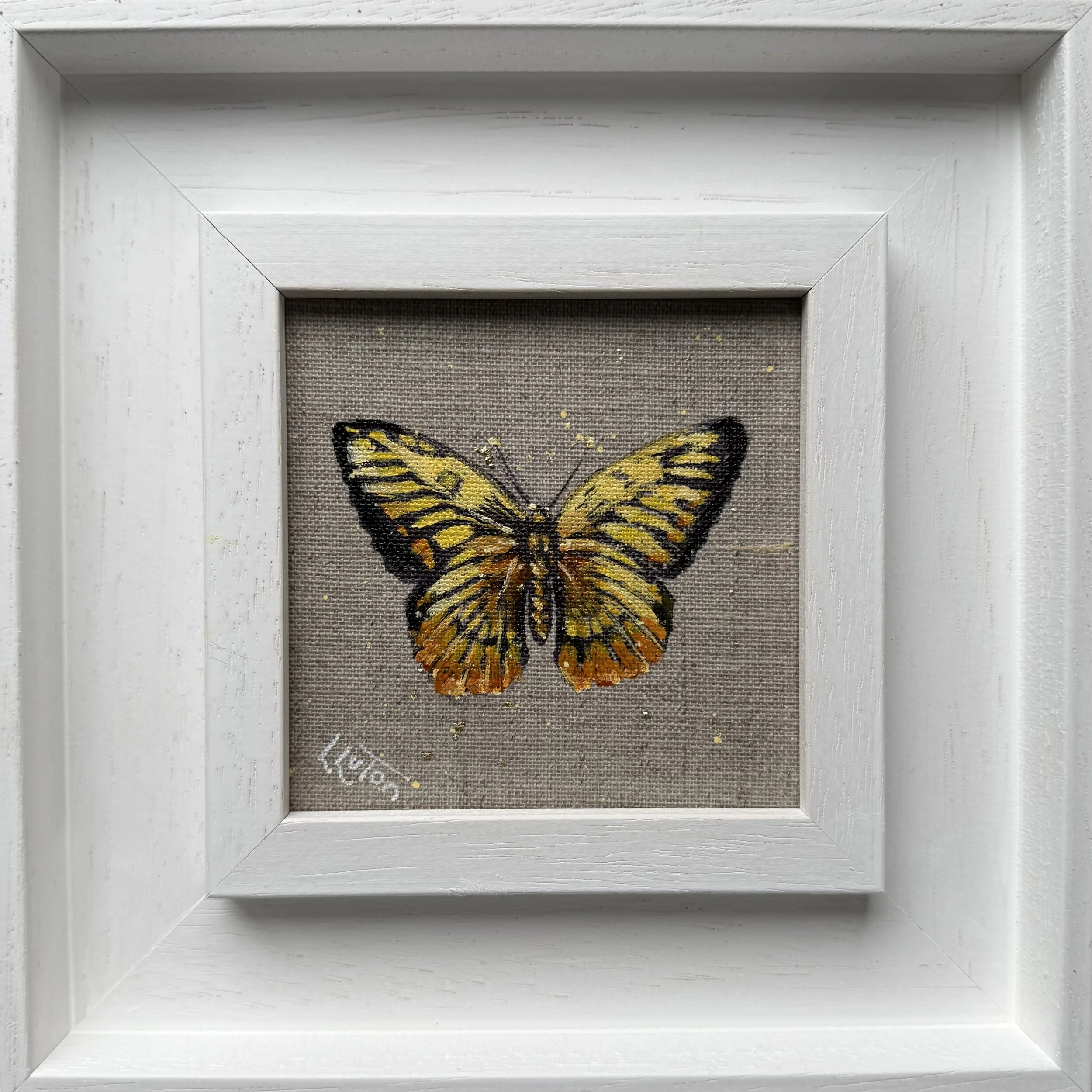 Amber moon butterfly by Louise Luton.jpeg