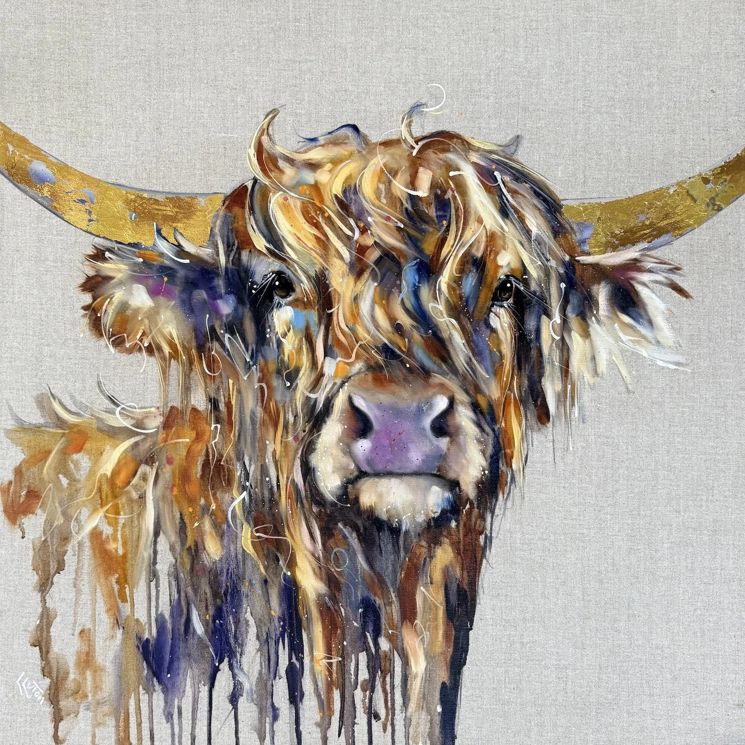 betsy louise luton highlnad cow.jpeg