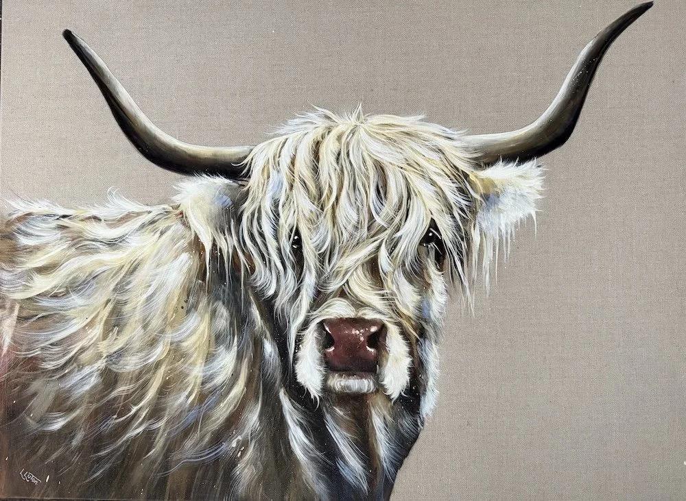 Gwnedolyn white highland cwo by Louise Luton.jpeg