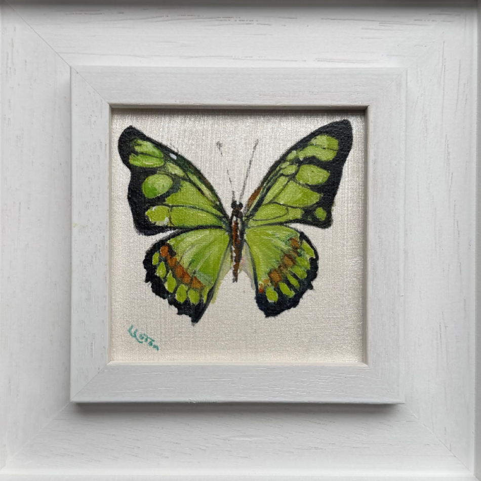 Green butterfly in frame by Louise Luton.png