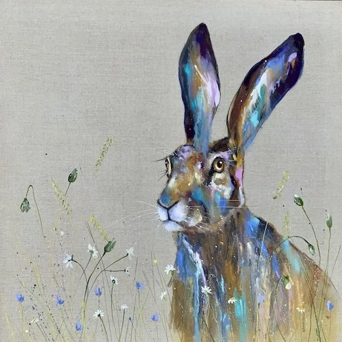 Hare in the morning light copy.jpg