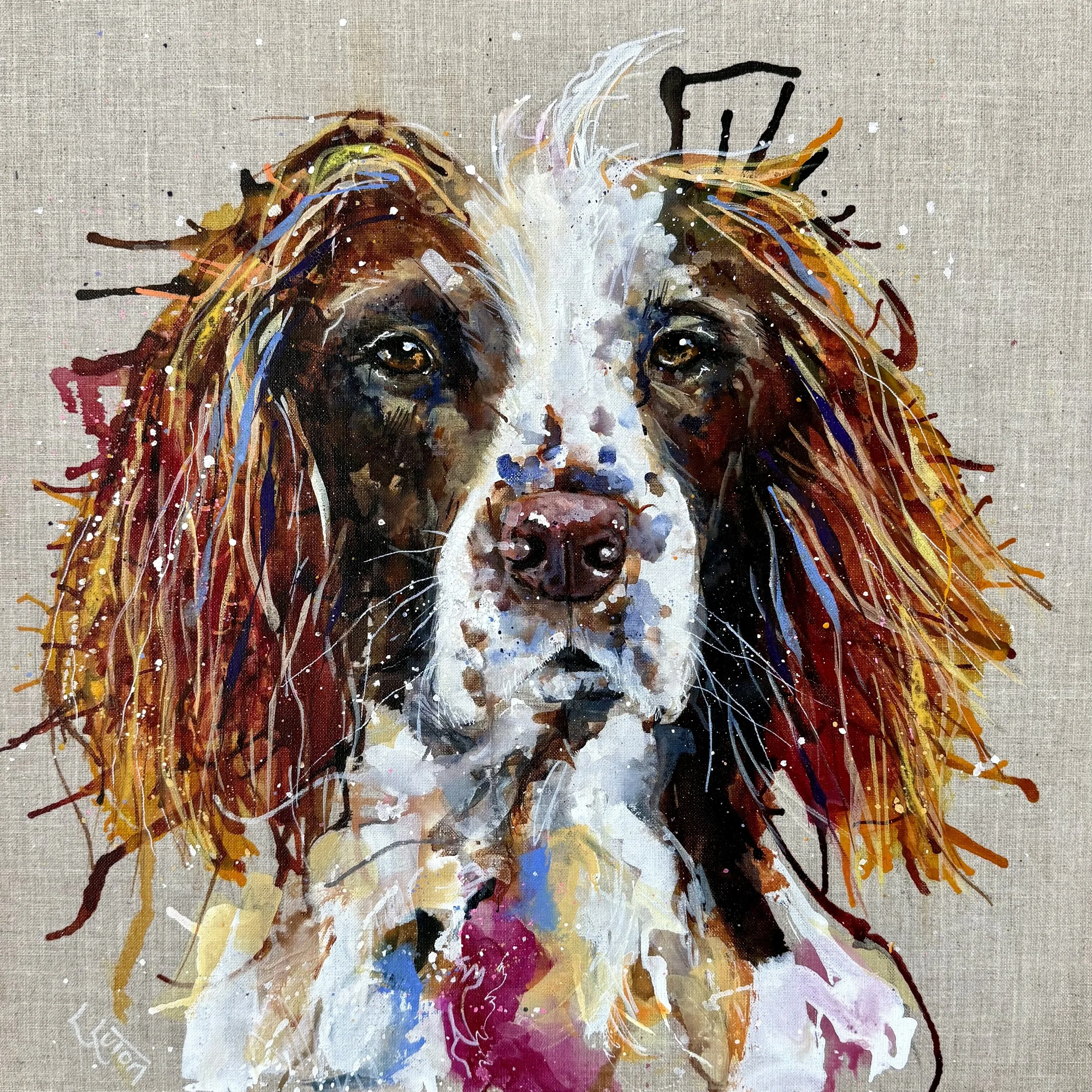 buddy the spaniel by Louise Luton.jpeg