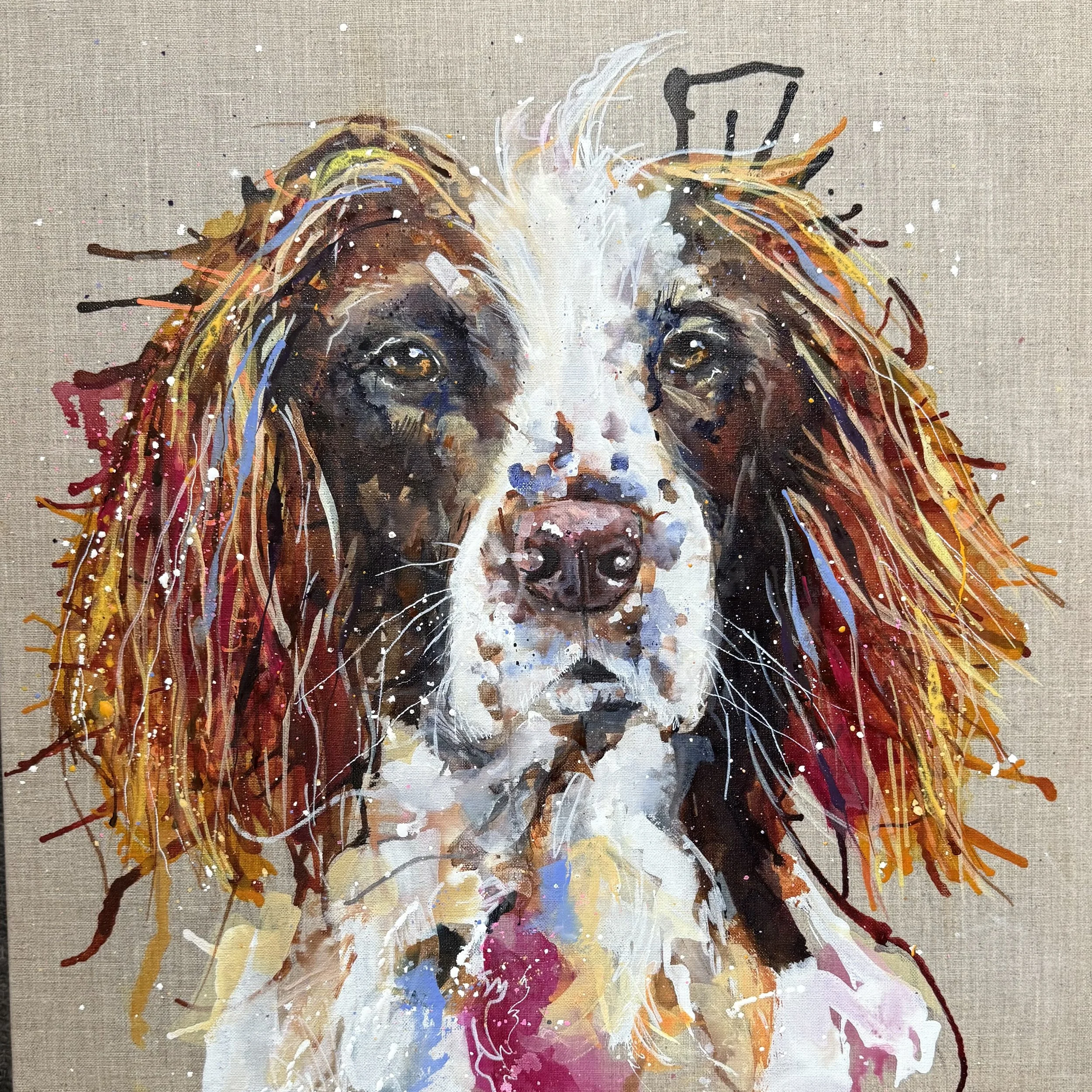 Buddy the spaniel by Louise Luton.jpeg