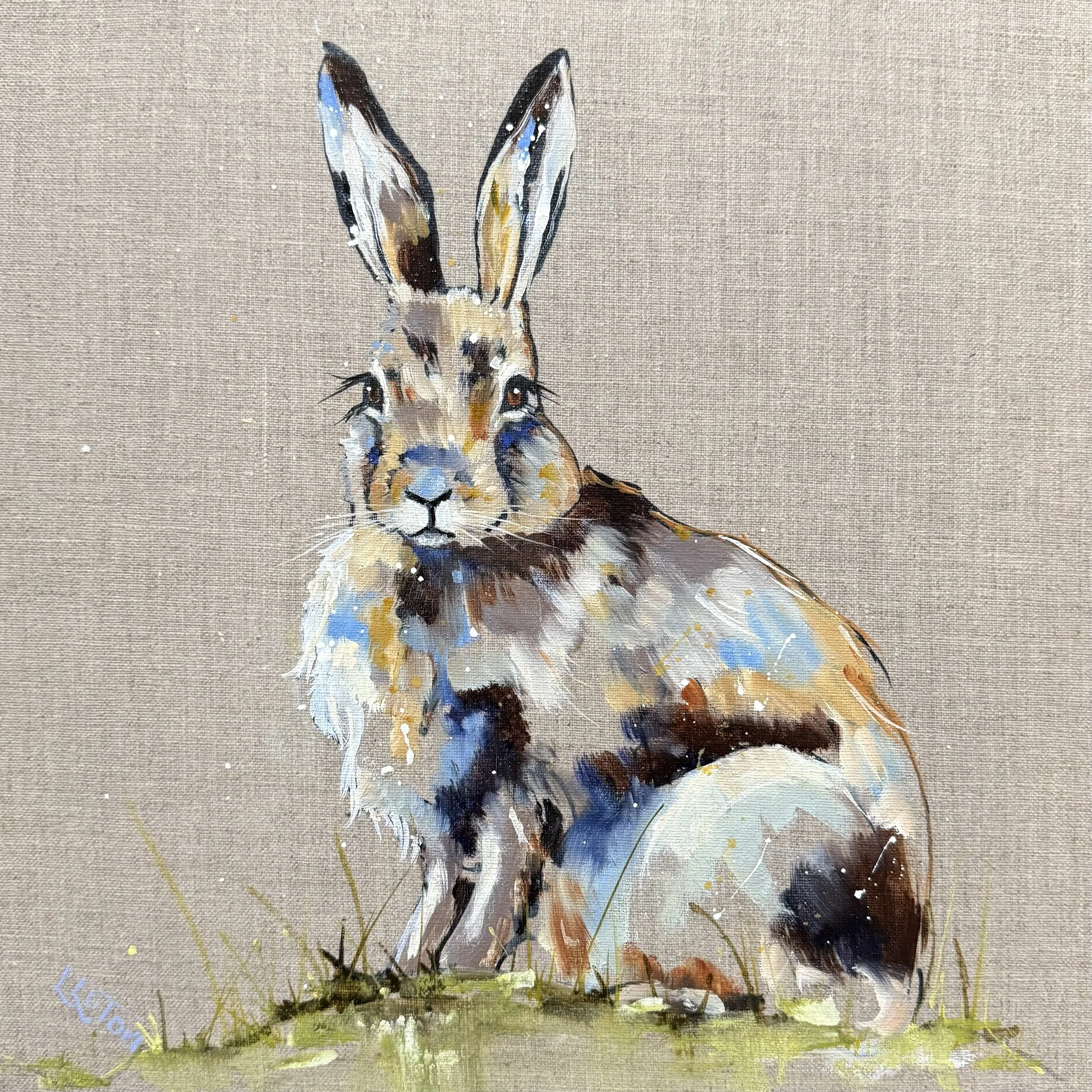 LIttle Mountain hare by Louise Luton.jpeg