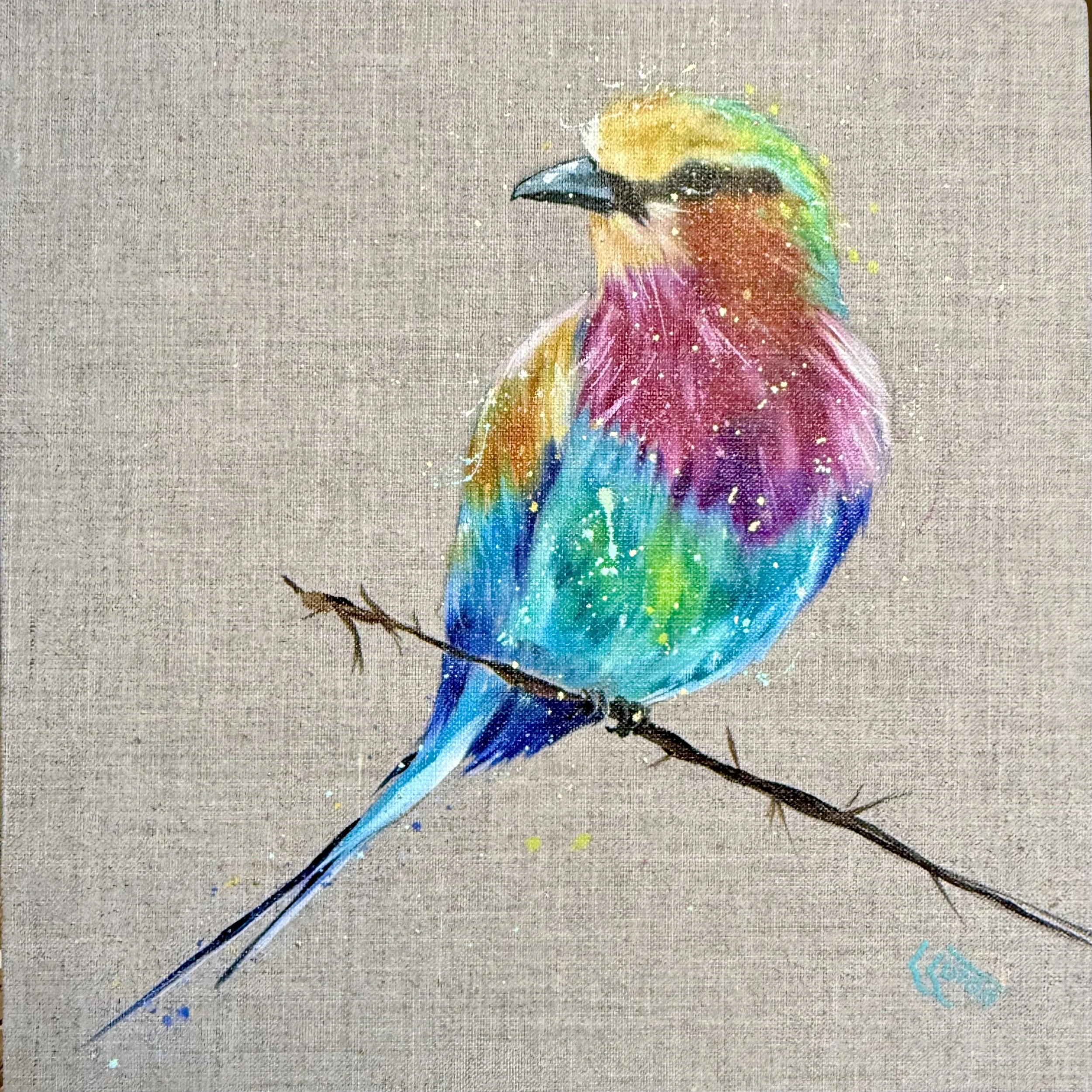 Lilac breasted roller by Louise LUton.jpeg