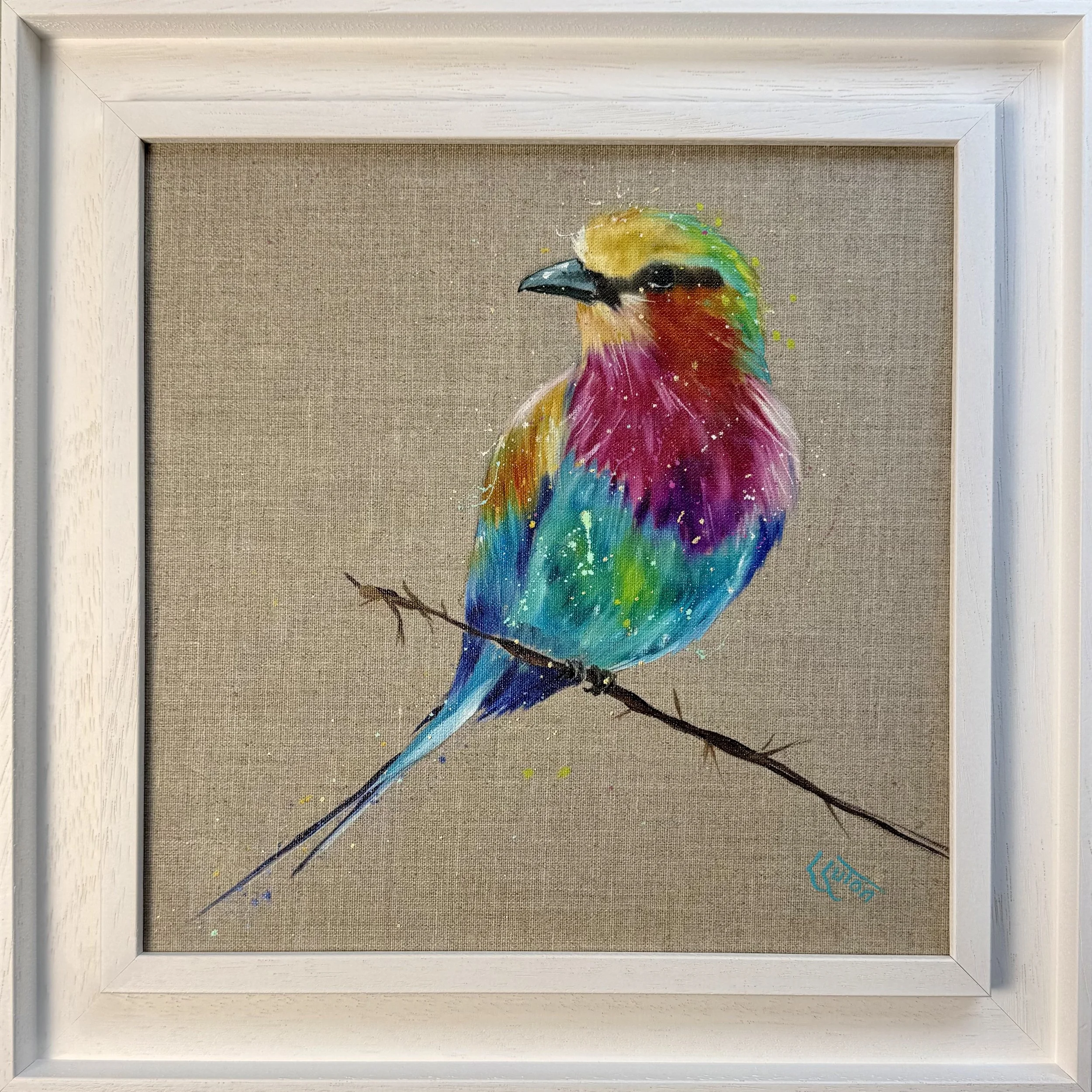 Lilac breasted roller by Luise Luton framed.jpeg