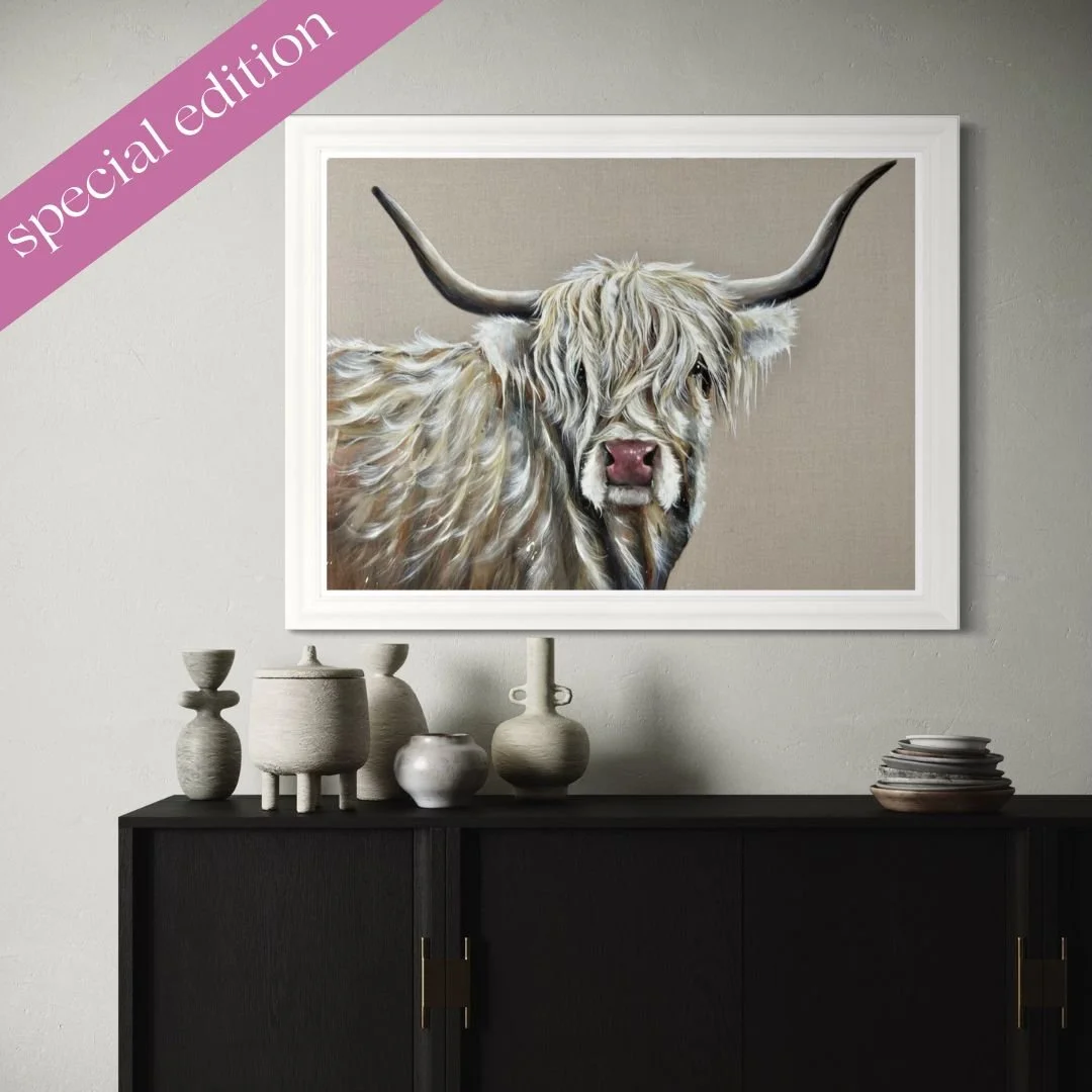 Gwendolyn white highland cow framed print