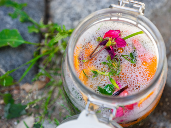 Free NSAC Spring Welcome Class