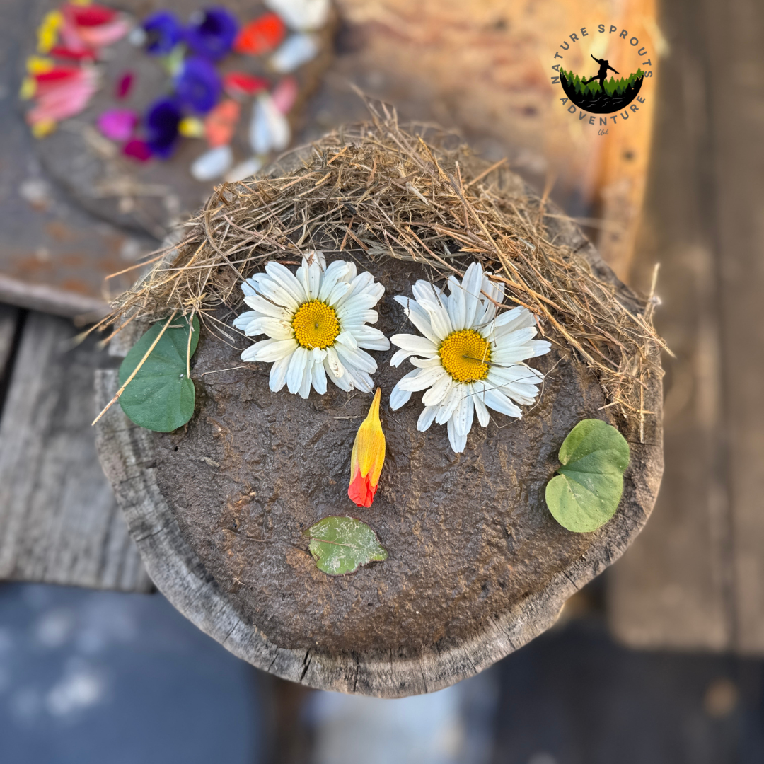 Nature Sprouts Summer Camp Week 8