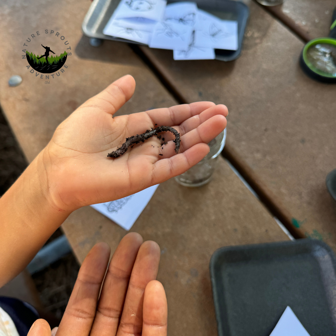 Summer Camp Week 2 photo- Tiny Forest Friends.png