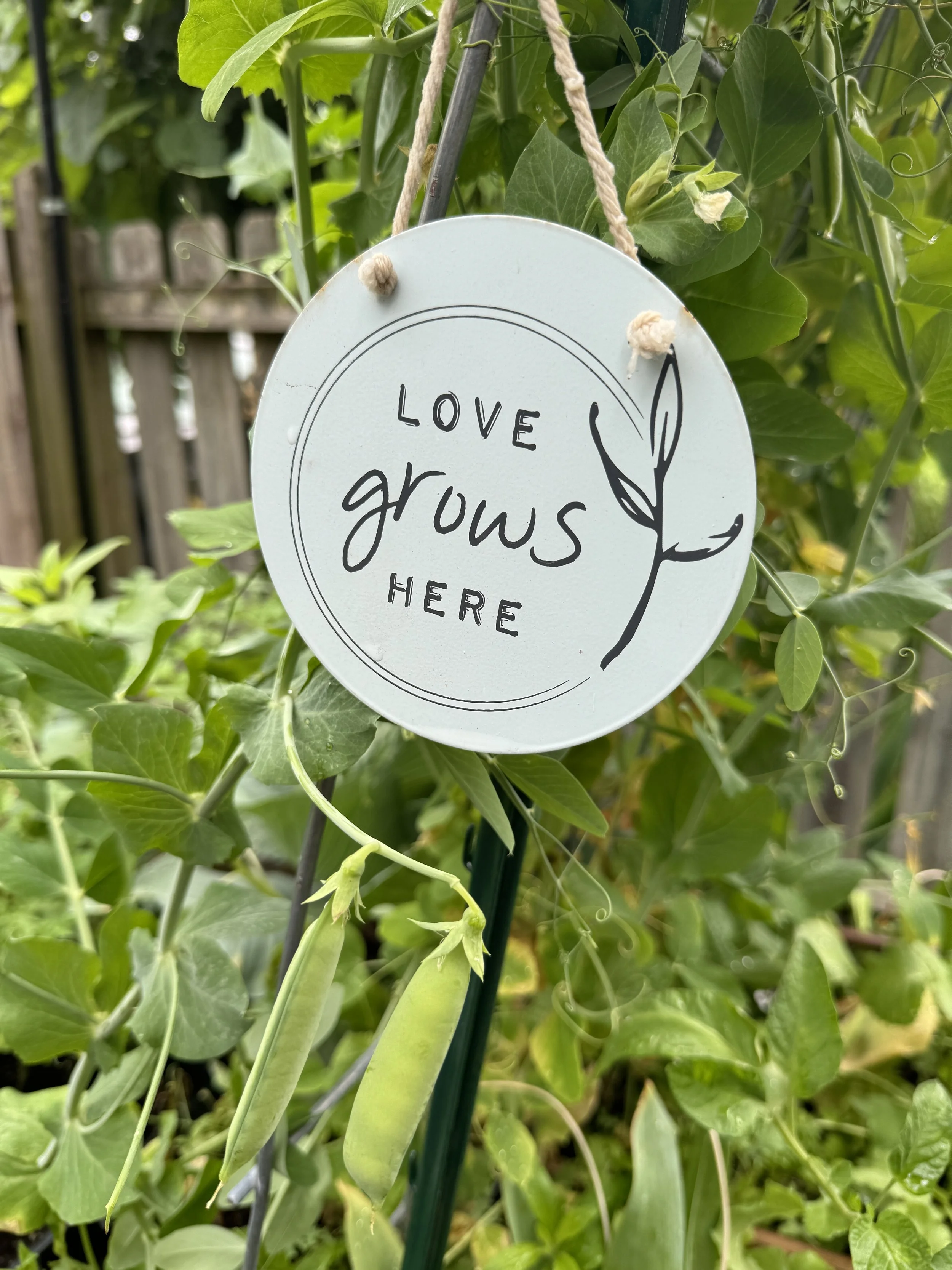 Goals in the Garden Workshop