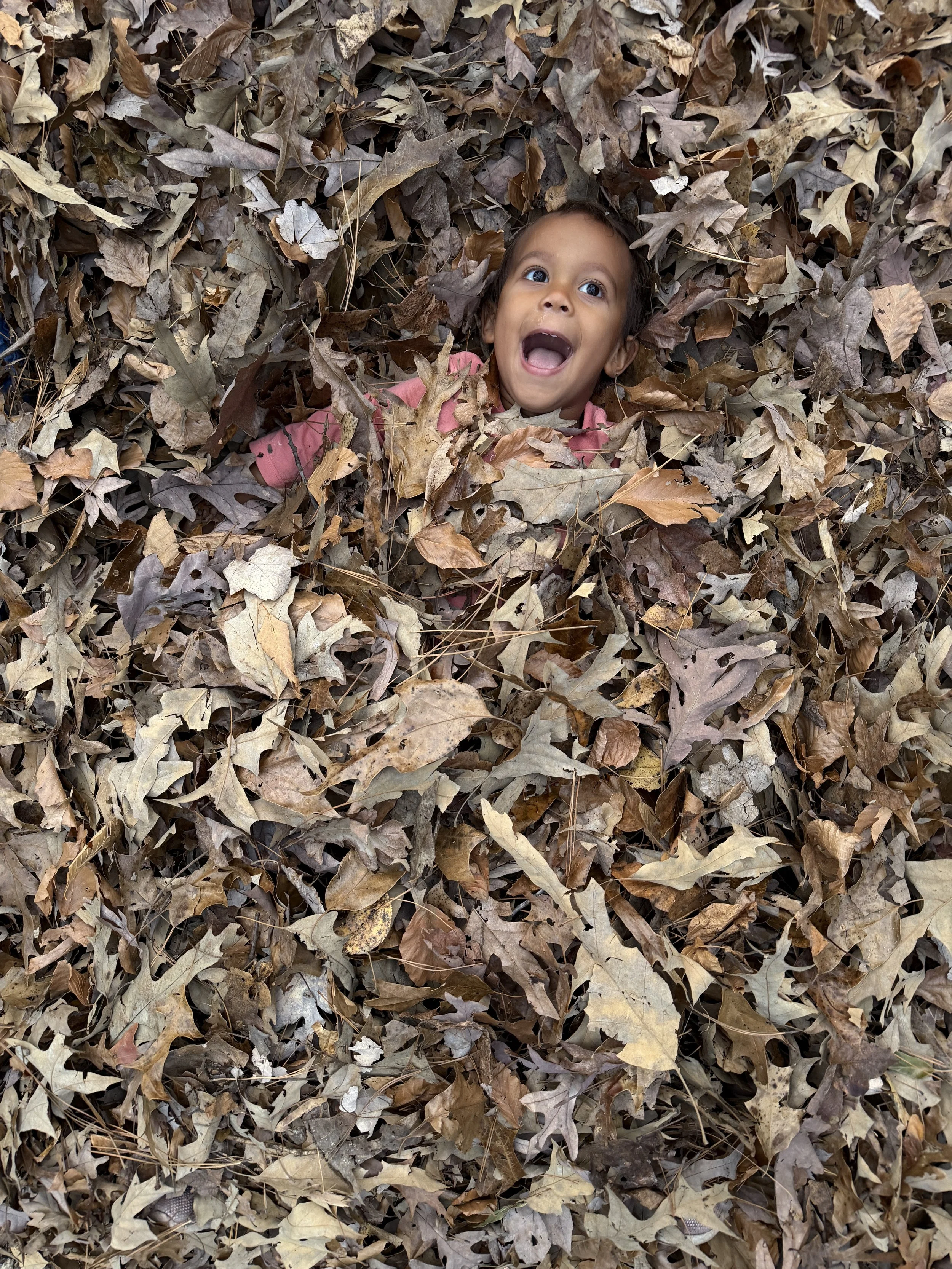 Seasons of Wonder: A Reflection on Our Fall Wellness Season — My ...