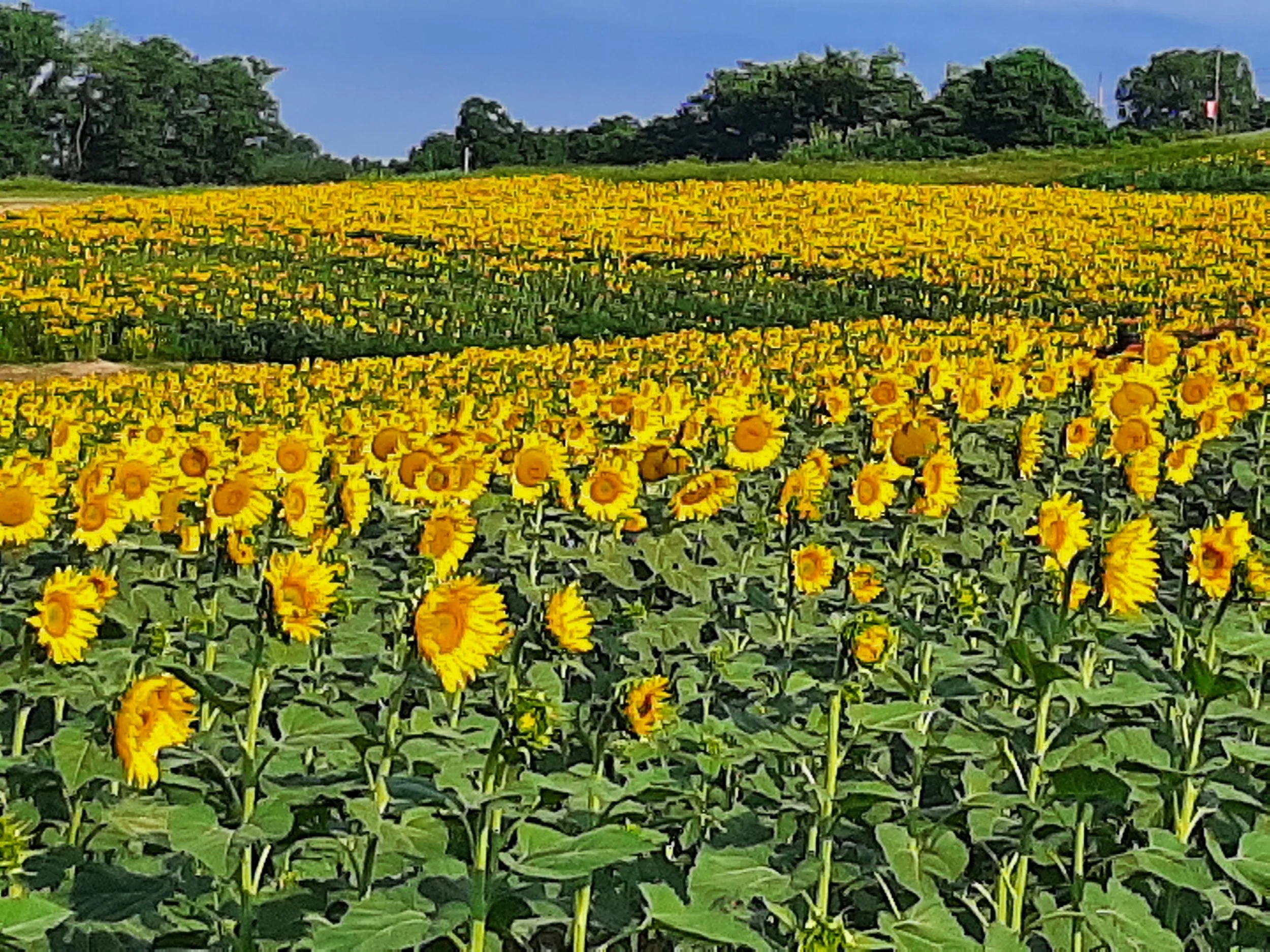 20220712_083835.jpg