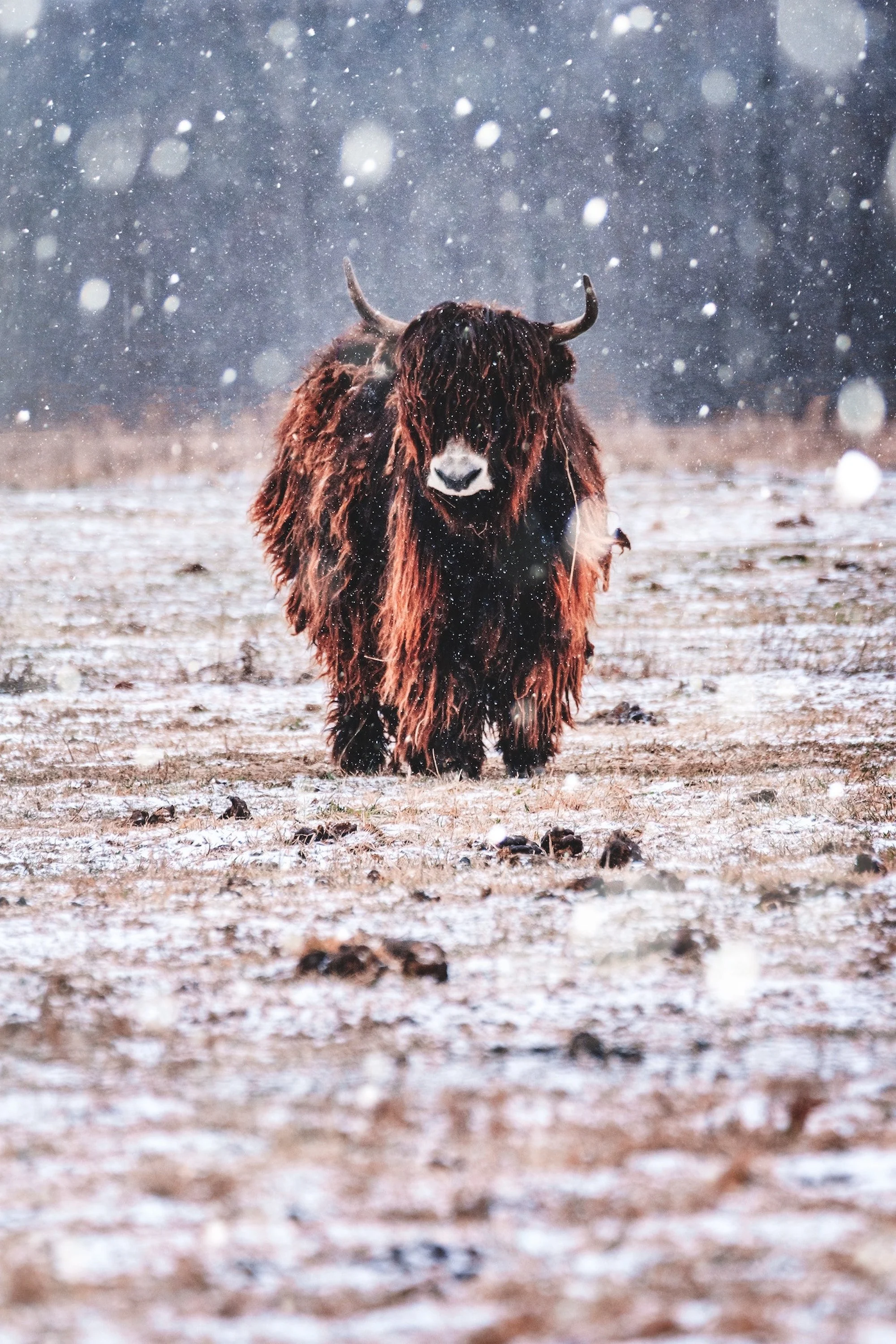 bryan-minear-319925-unsplash (1).jpg