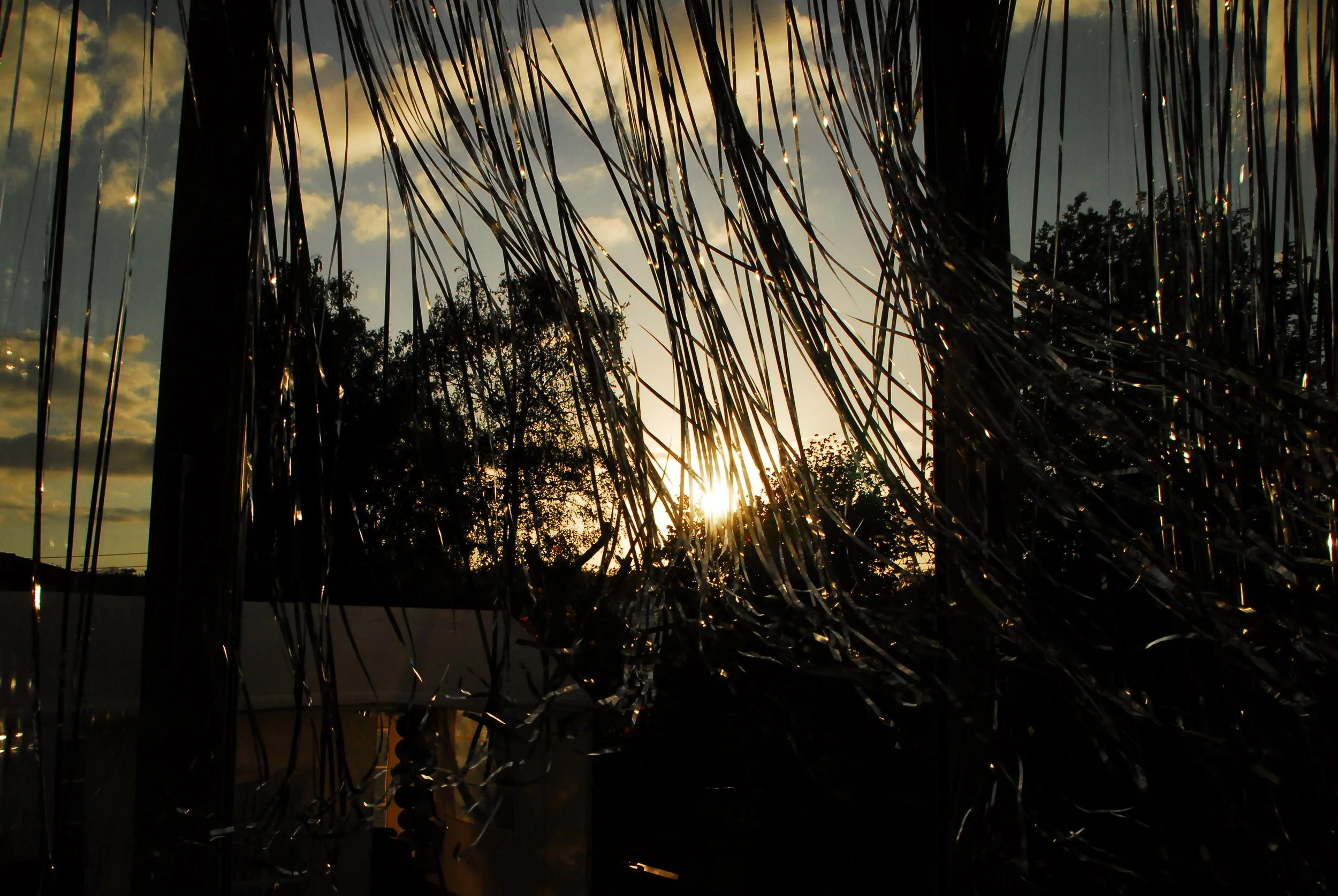 DSC_0078 (1).JPG