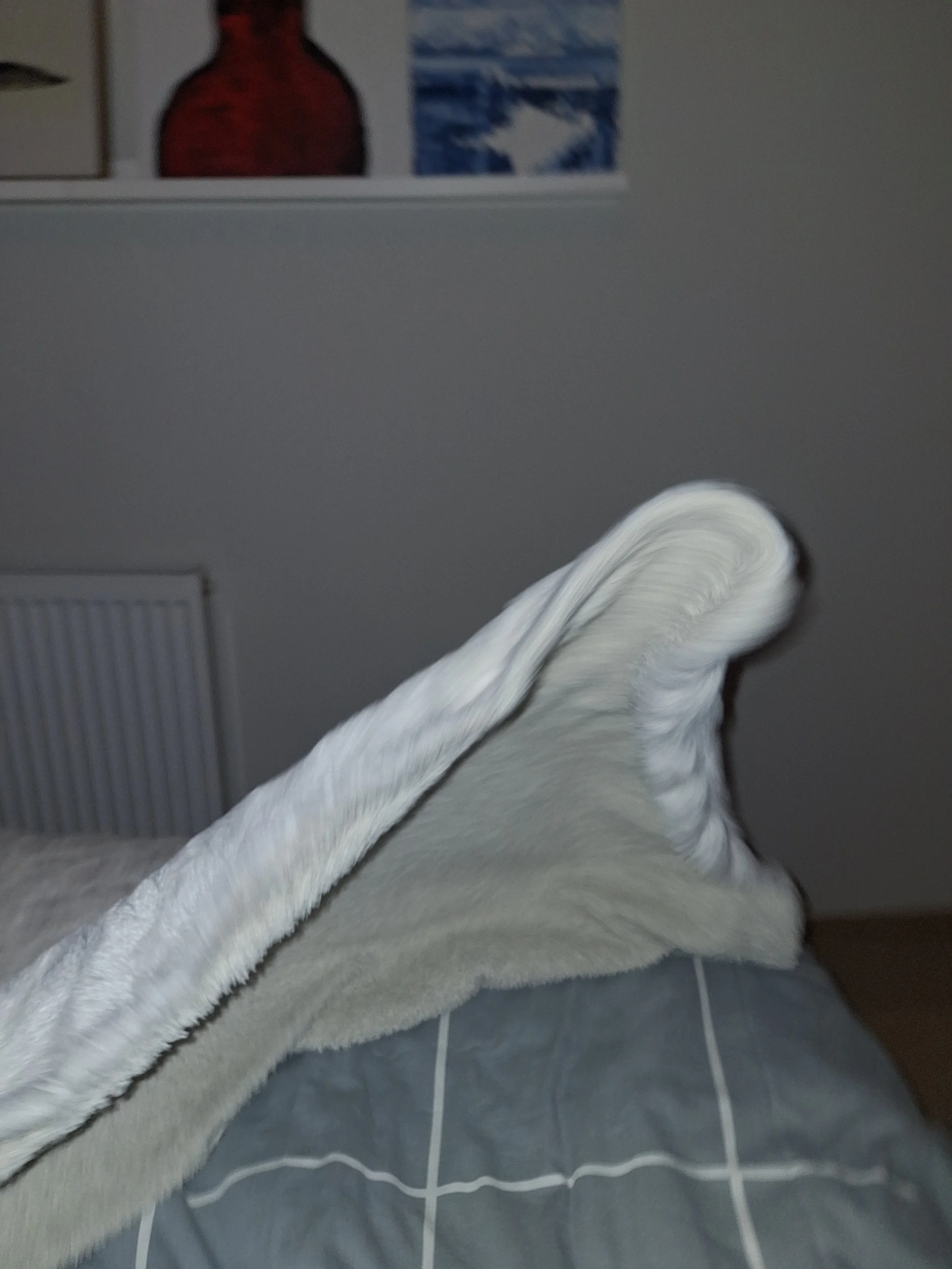 20260201_171520.jpg