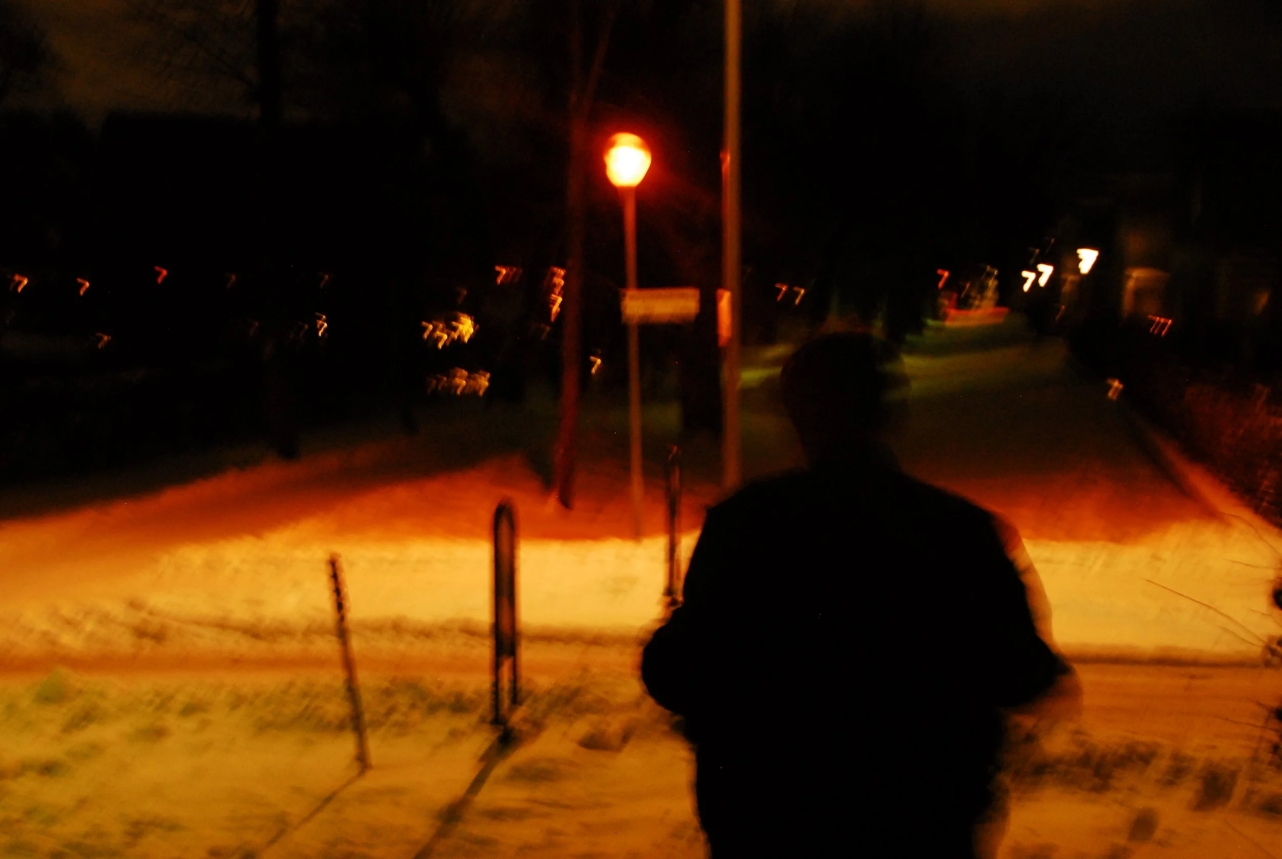 DSC_0020 (1).JPG