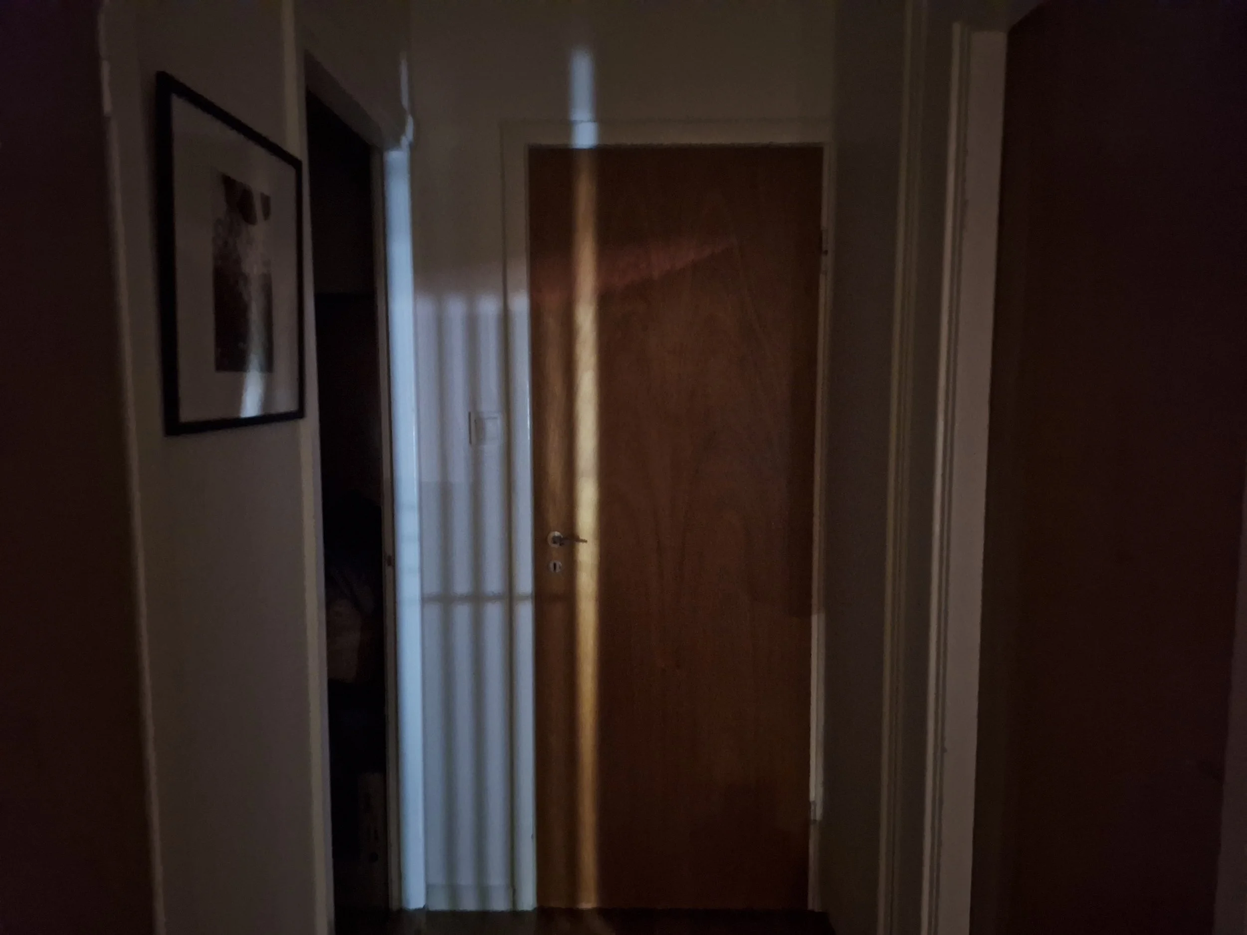 20260321_000254.jpg