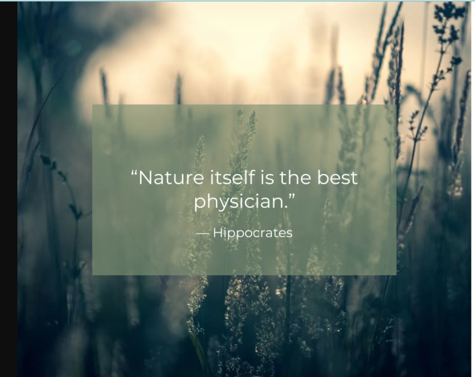 A blurred natural outdoor scene with tall plants and sunlight, featuring an overlaid quote by Hippocrates: 'Nature itself is the best physician.'