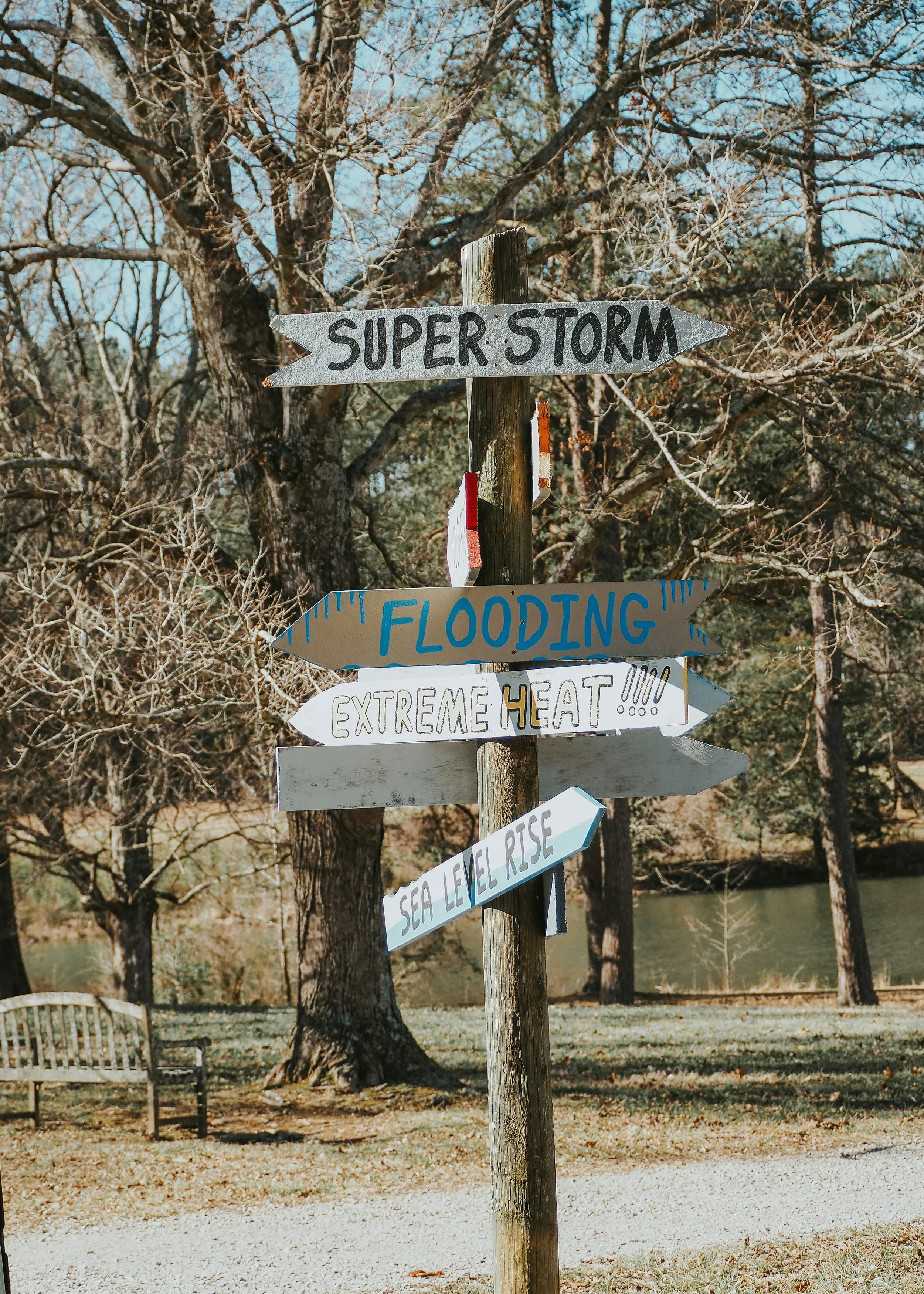 Hurricanes Helene &amp; Milton – Midwest Tree Care Response