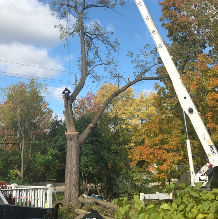 Midwest’s Snow &amp; Ice Management Ensures Safe Access To Michigan Facilities