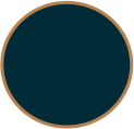 Empty dark-colored bowl with a gold rim