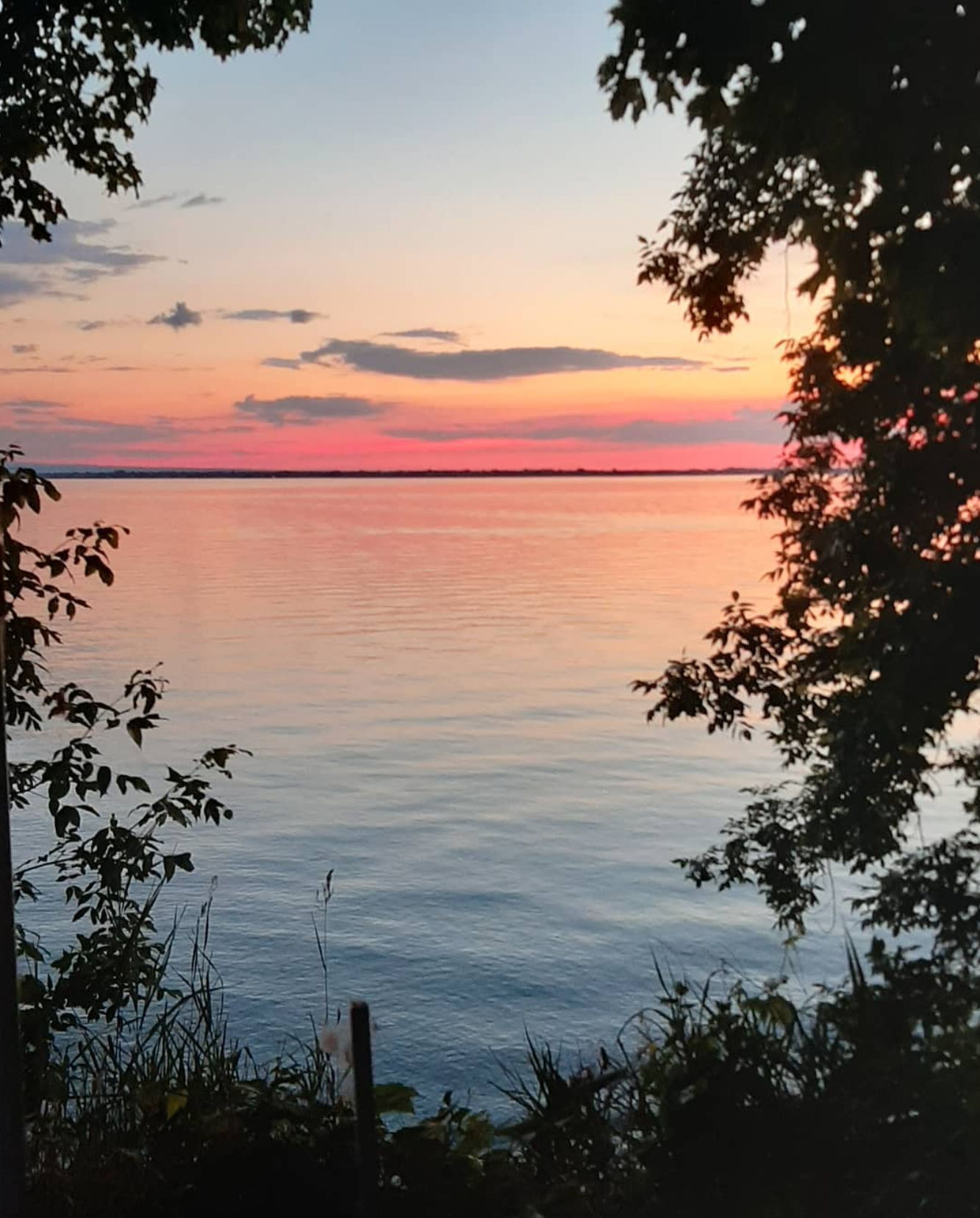 A peaceful lake at sunset with pink, purple, and orange hues in the sky. Dark silhouettes of trees and plants frame the view.