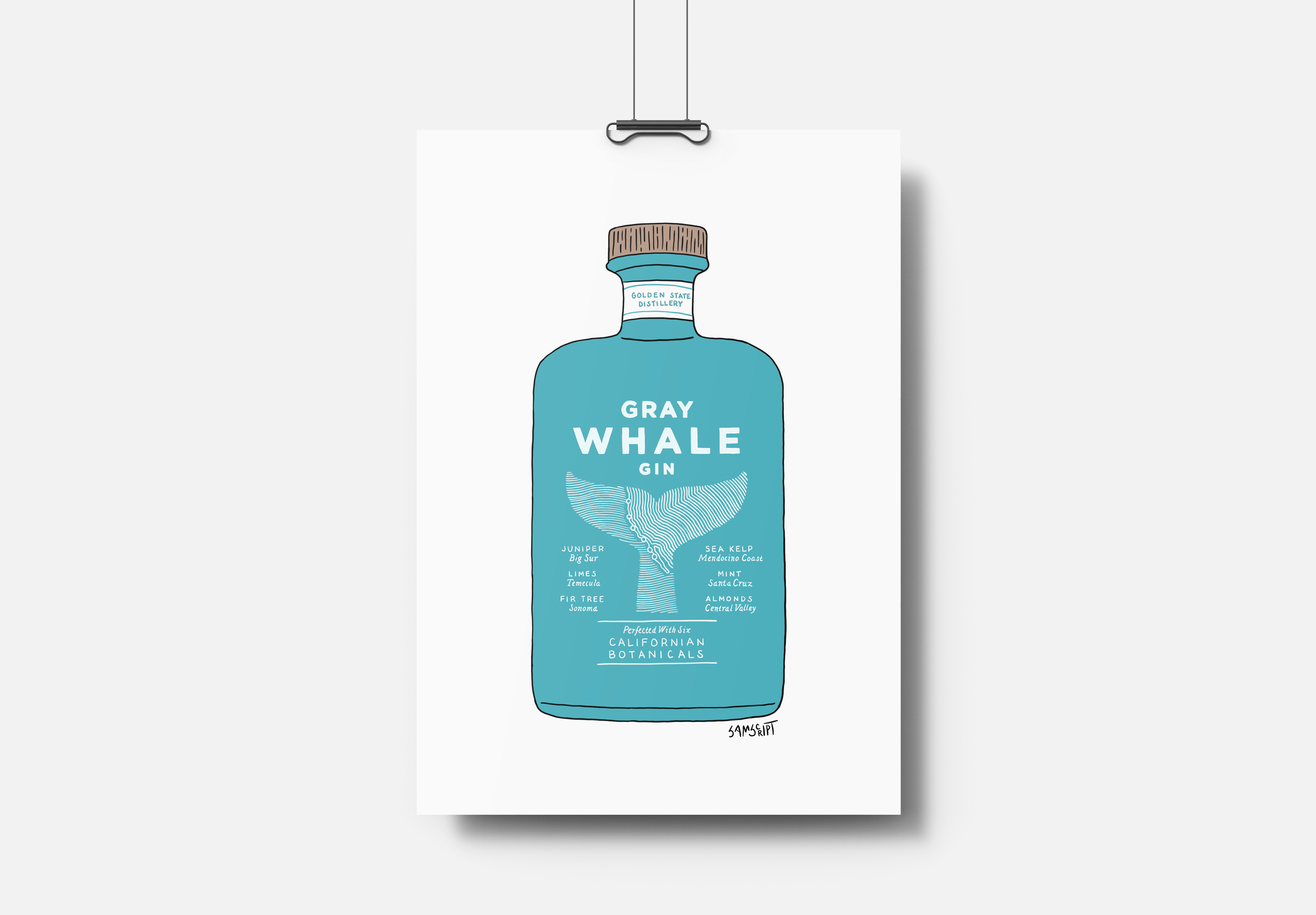 GRAY_WHALE_8.png