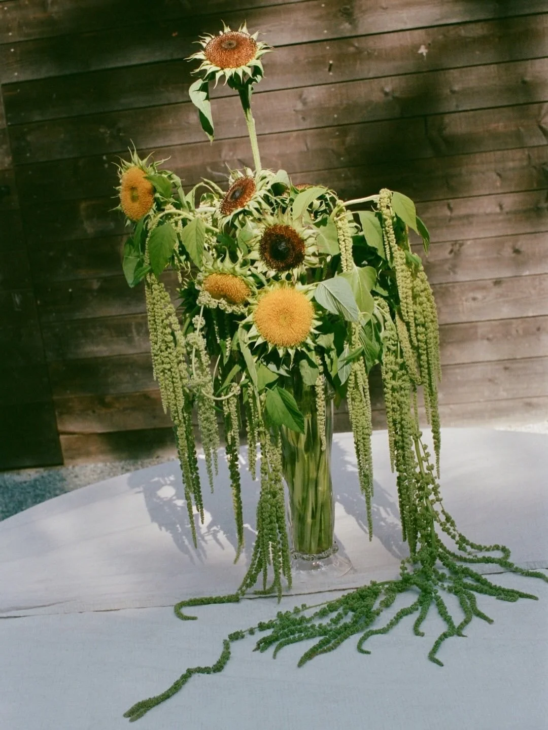 Two Moons &bull; A full moon summer celebration of love between A+J on the gulf island of BC. 

For the couple, the moon represents the ritual of connecting daily when they watch the moon rise from their San Francisco home. 

The full moon, visually 