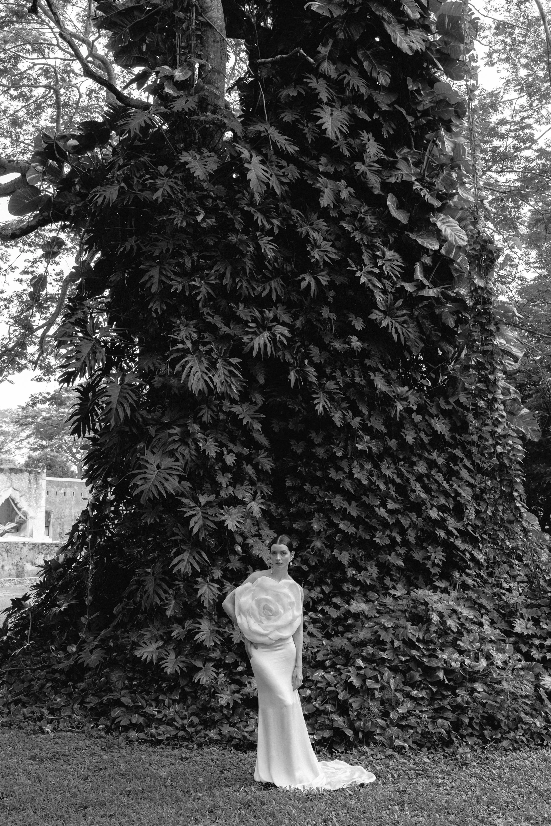 Hacienda Subin — Coming Soon