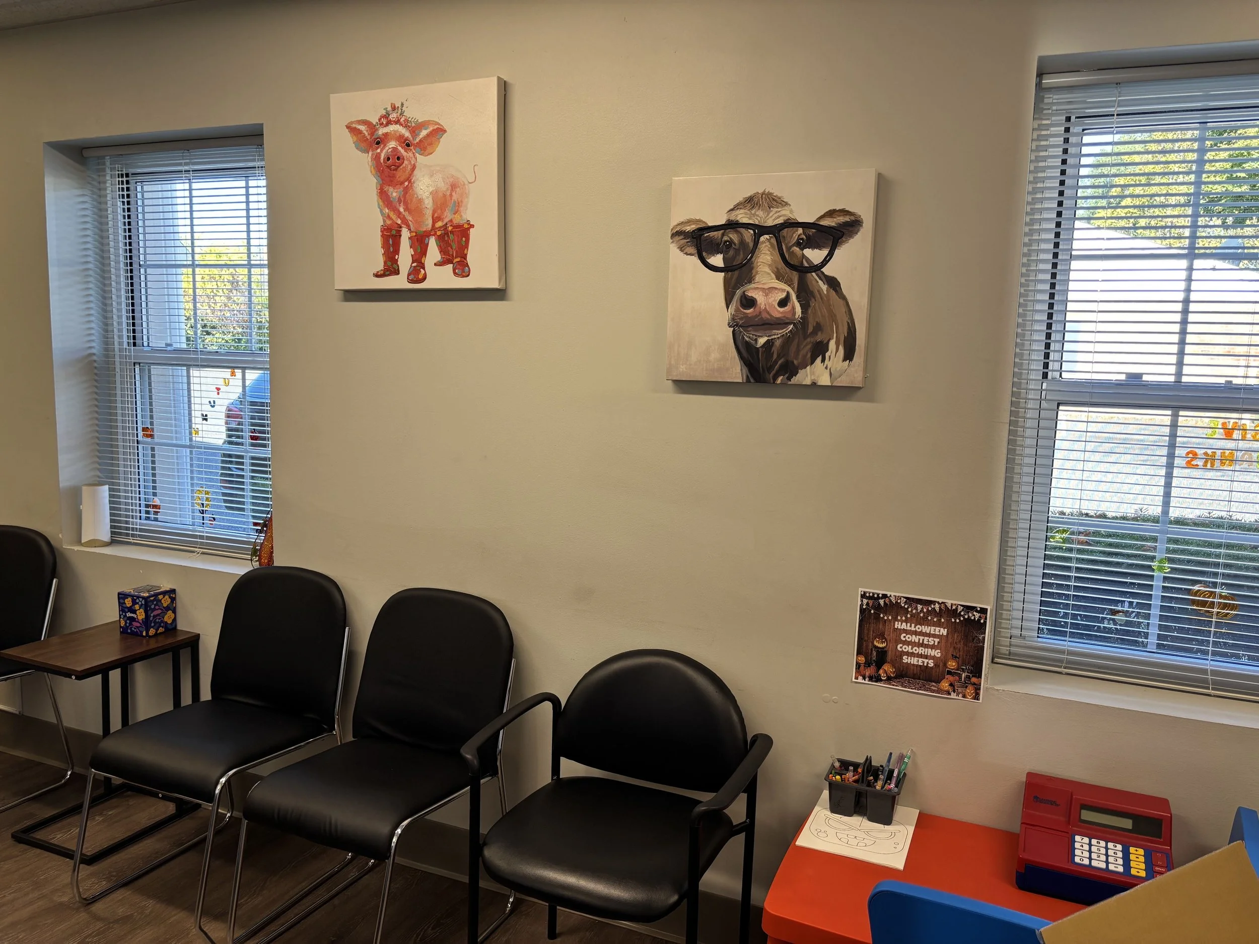 Indoor waiting room with three black chairs, a small wooden table, and two window with blinds and Halloween decorations. Two paintings on the wall: one of a pig with festive boots and another of a cow wearing glasses. A sign reads 'Halloween Contest 