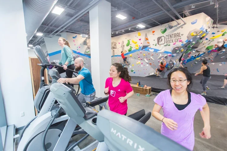 rockgym+6.webp