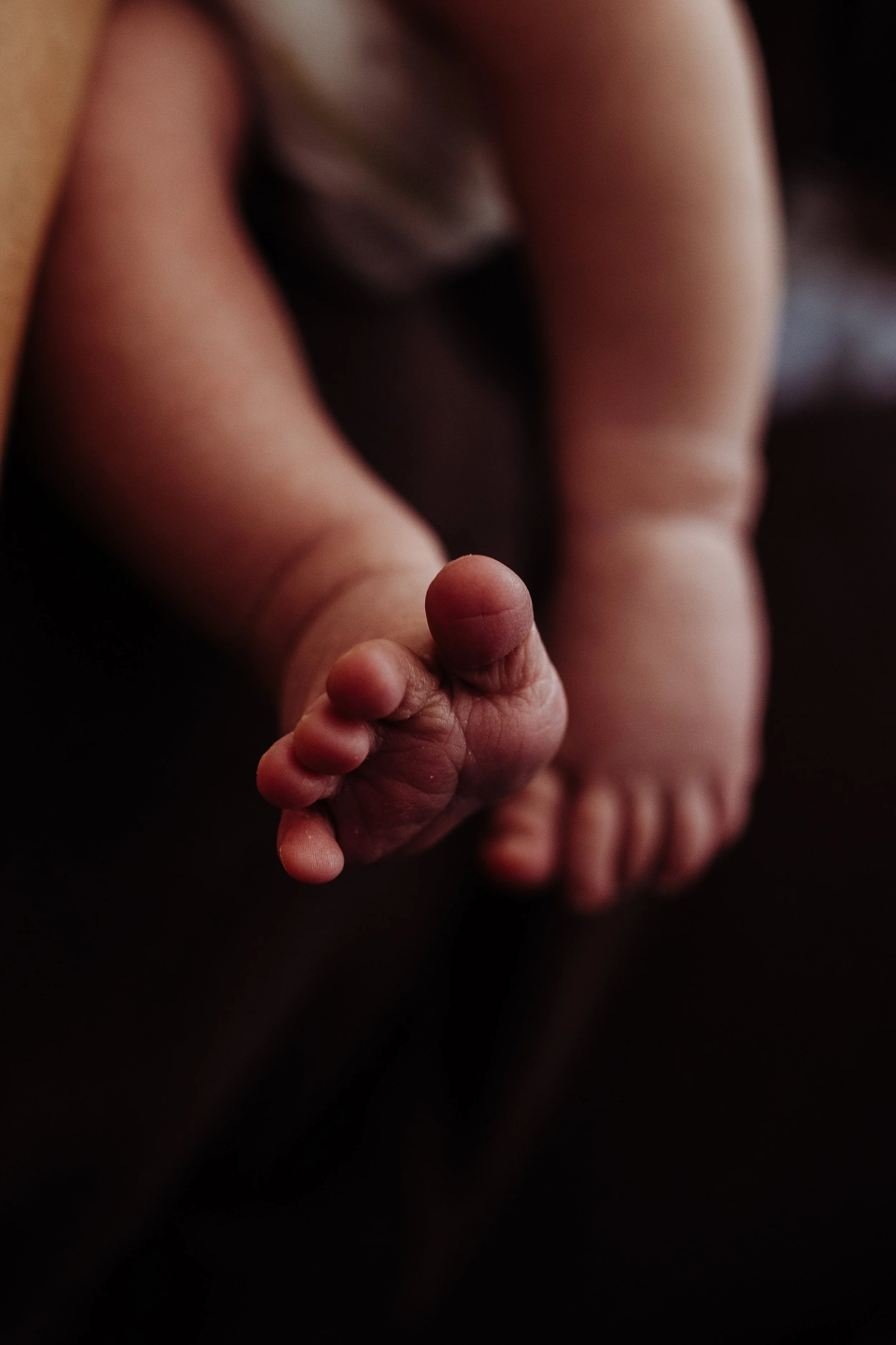 FrankCaitlin.LisbonFalls.FamilyPortraits.Photographer.BeauxAndArrows.October122024.CaitlinFrank-3854.jpg