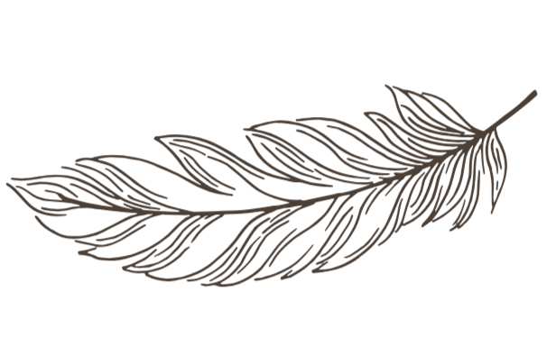 Brown line-art feather on a black background