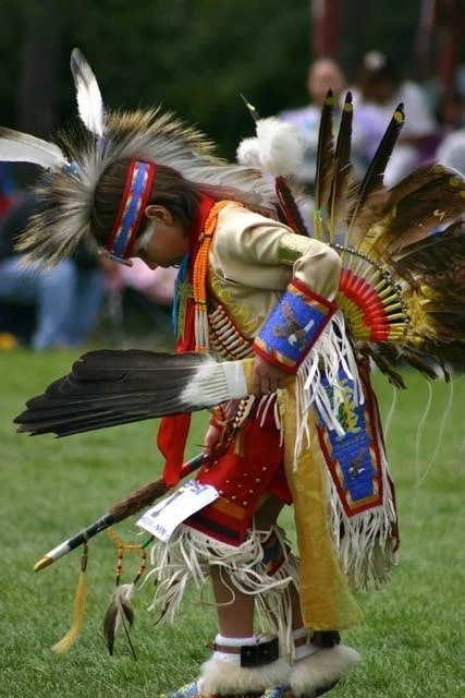 Native American powwow dancer in colorful feathered regalia holding a feather fan outdoors