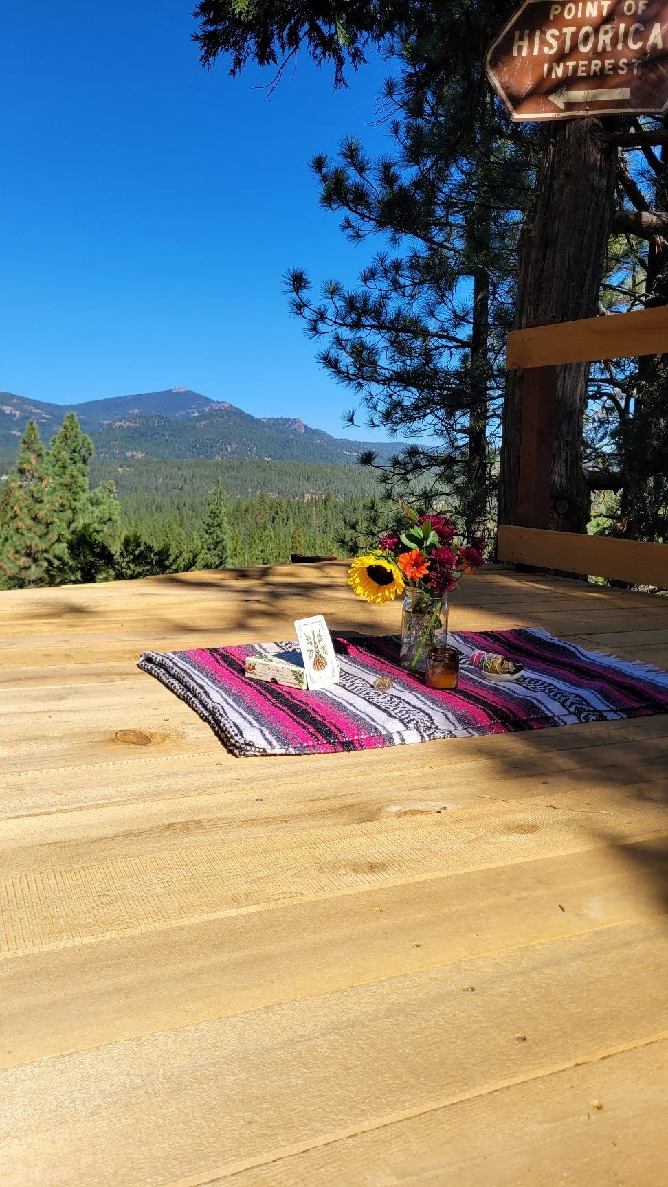 Beneath the Trees: A Summer Women’s Circle