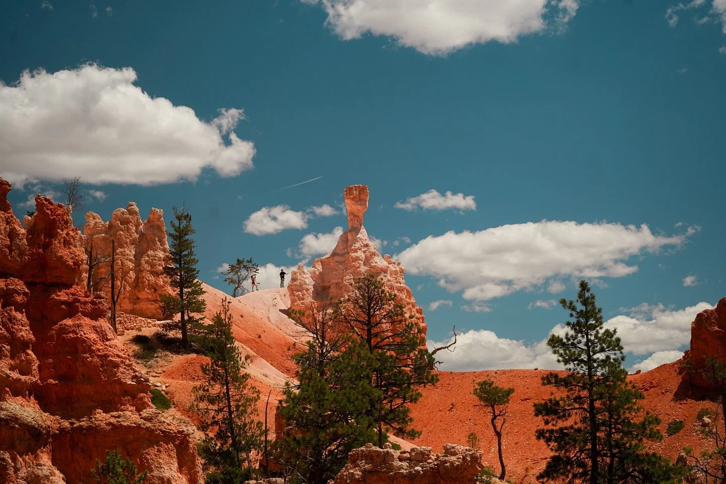 Welcome to my account! I&rsquo;m Paulina, an artist and filmmaker with a passion for capturing stories and creating cinematic images and videos. Take your time, look around :)

Zion National Park, 5.9.2025