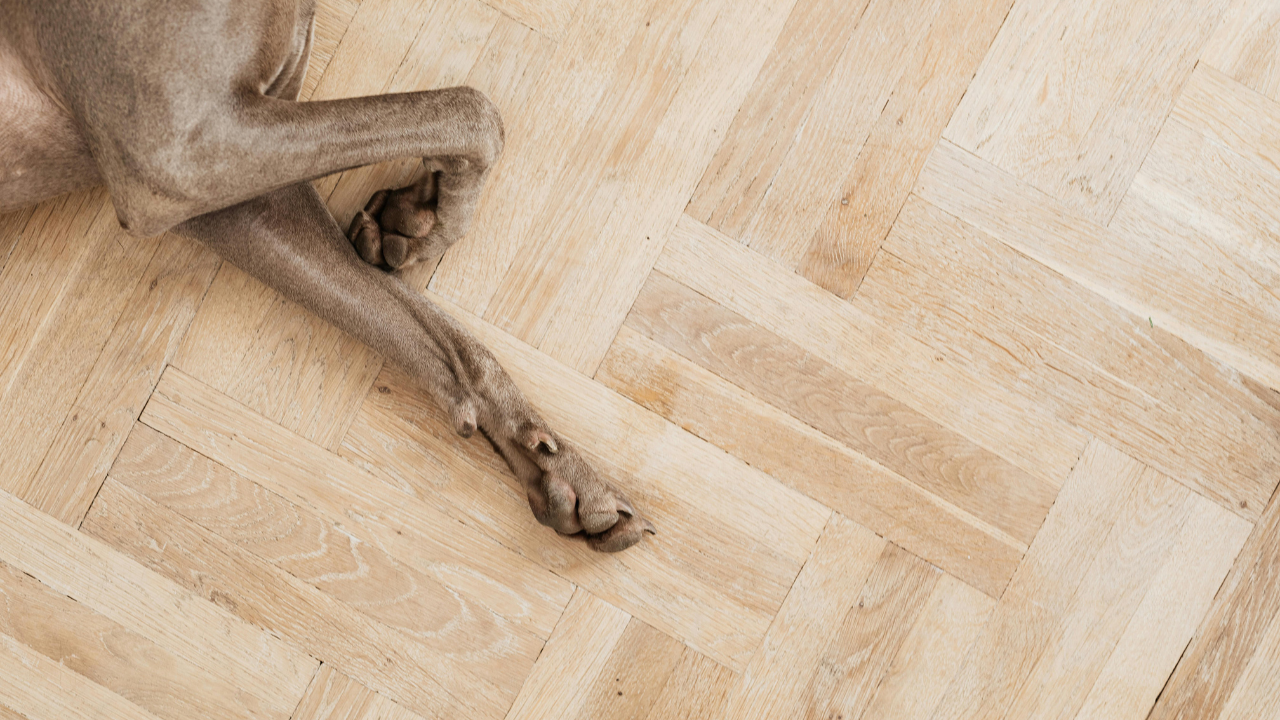 Solid Hardwood Flooring: What Vancouver Homeowners Should Know Before Committing