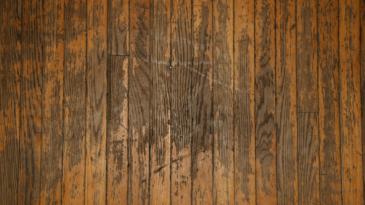 How Long Do Hardwood Floors Last? A Vancouver Homeowner's Guide