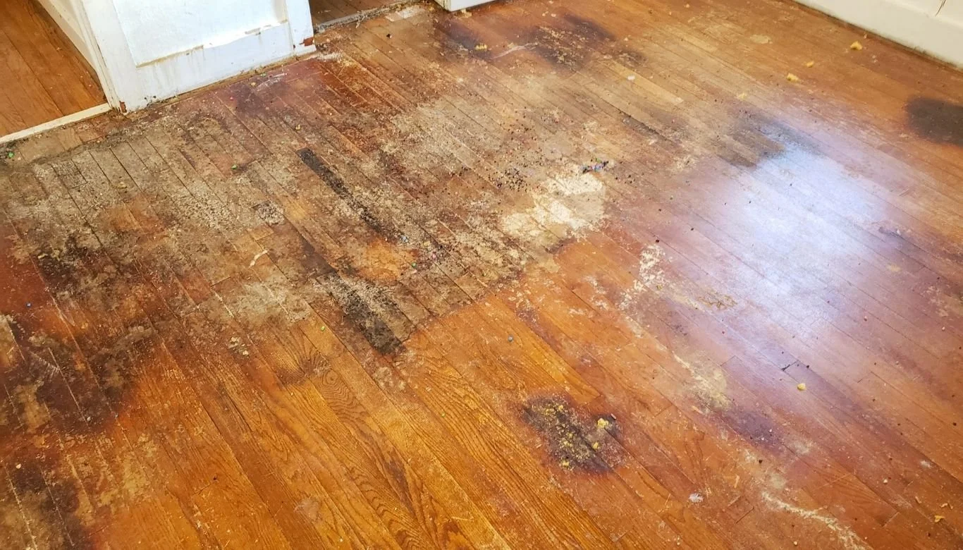 How to Prevent Fading on Hardwood Floors? — Sandover Floors