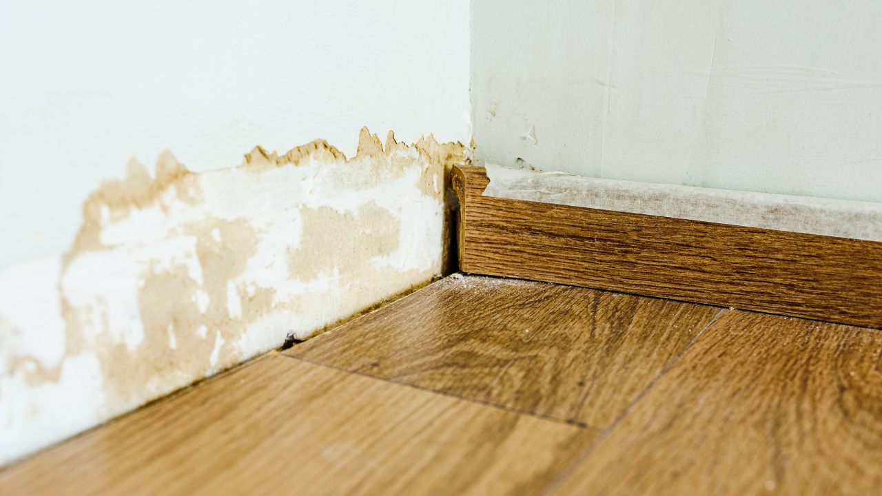 wood floor water damage​
