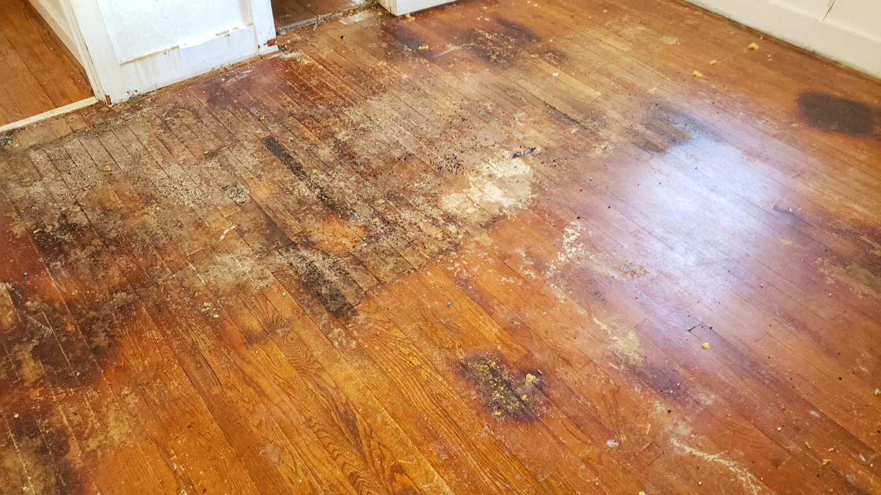 wood floor water damage​