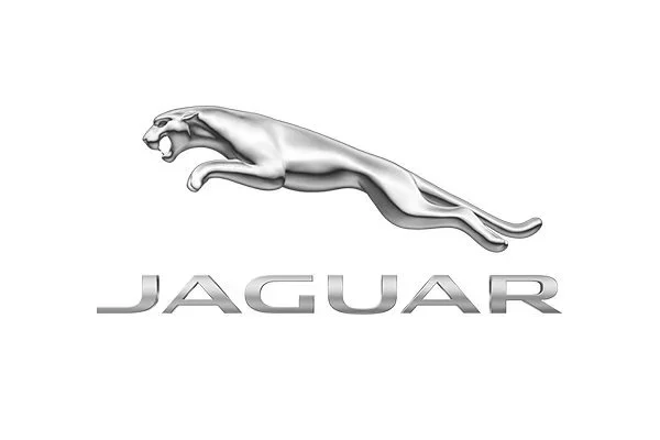 Silver jaguar logo with the text 'JAGUAR' below it.