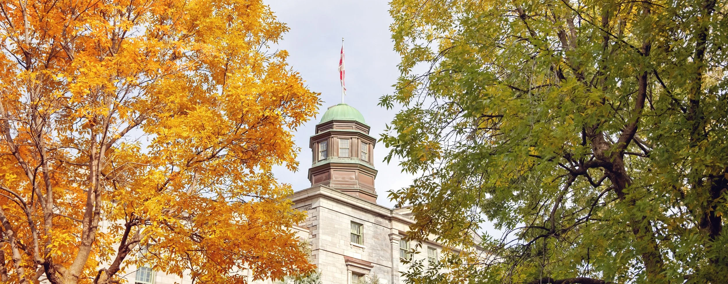McGill Construction Dispute Mock Cross-Examination Case Competition