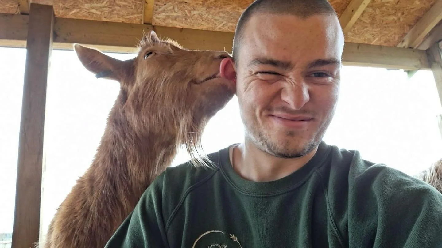 Ear nibbles 🐐