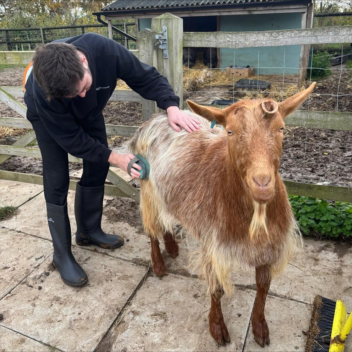 Big thank you to @rob.pownall for all your help today with our daily jobs - we really appreciate it! 🙏
Make sure to check out all of the incredible work he does for the animals over at @protectthewild__ 🦊