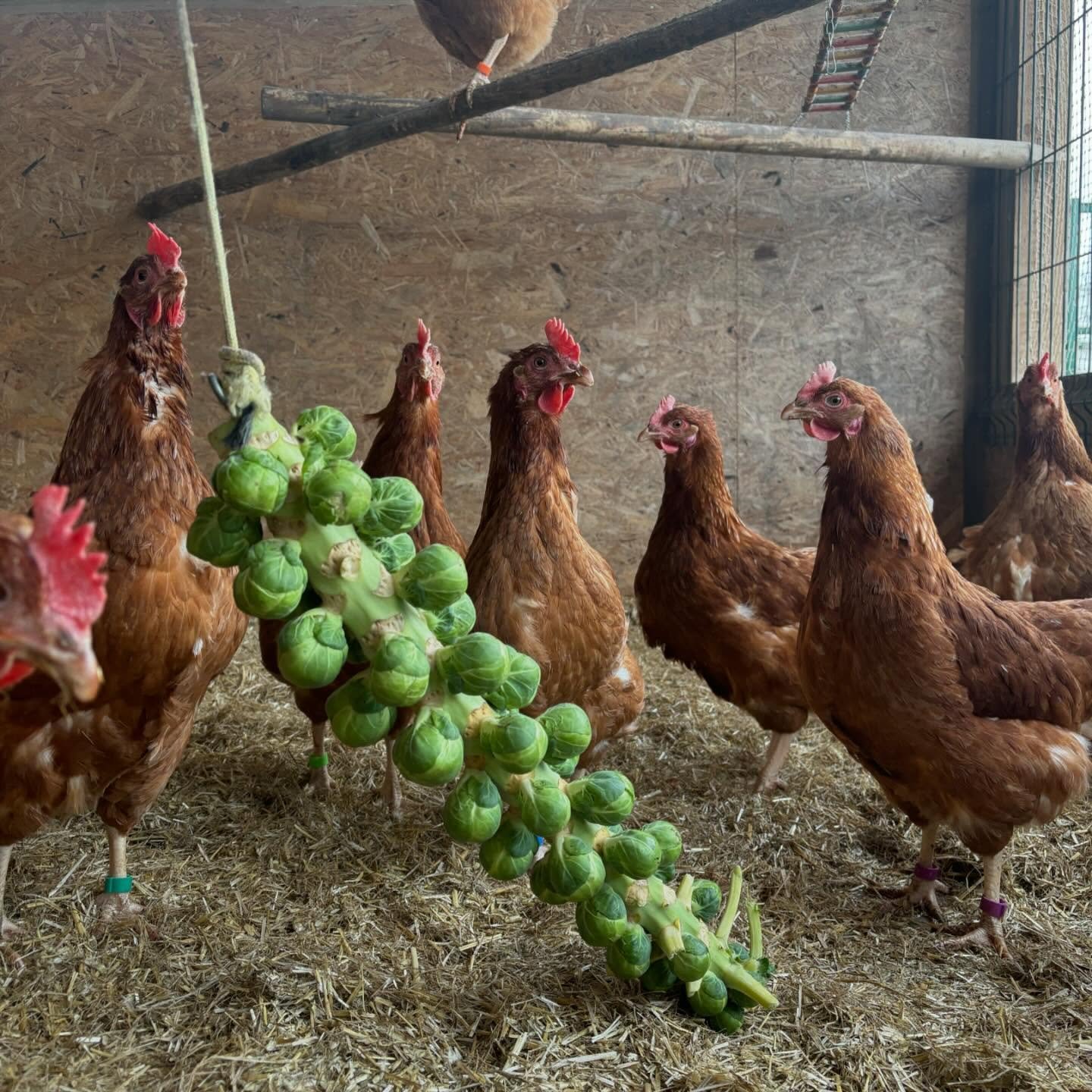 We hope everyone has a lovely rest of 2025 💚