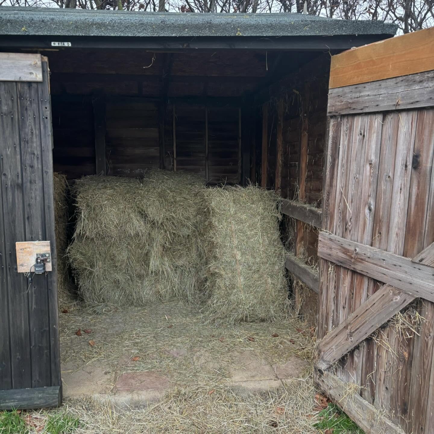 CONTINUED FROM PREVIOUS POST 

The cherry on the cake was being told this morning that after today we won&rsquo;t be able to  get rid of any of our muck as the place we usually go is having AV contaminated waste put there soon, as a local farm had be