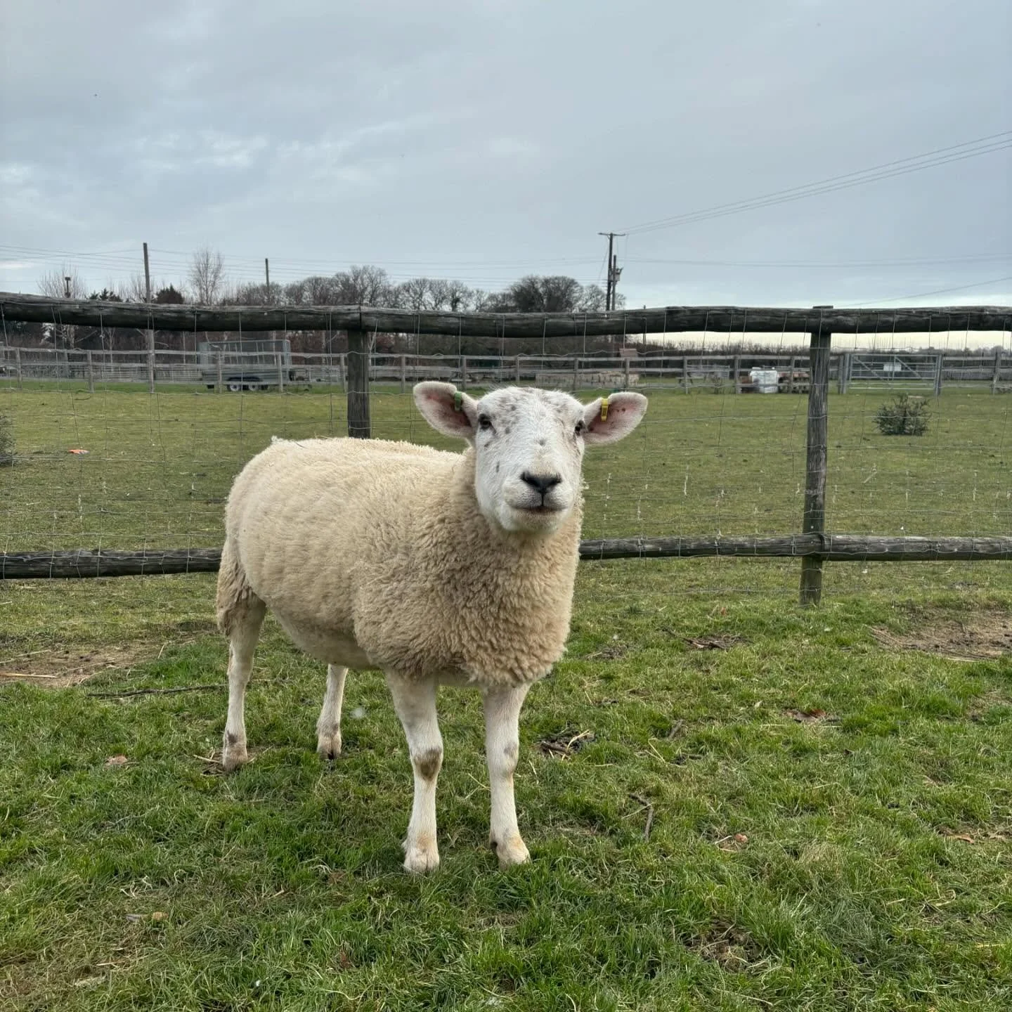 Hope everyone has had a good start to the year x